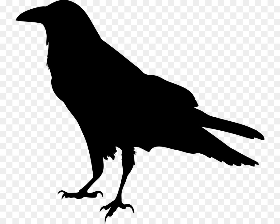 American crow Common raven Silhouette Clip art - vogelschwarz png download - 800*720 - Free Transparent American Crow png Download.