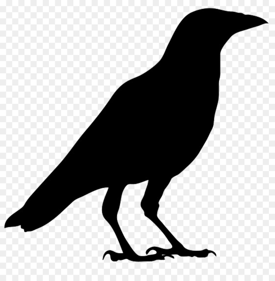 crow silhouette