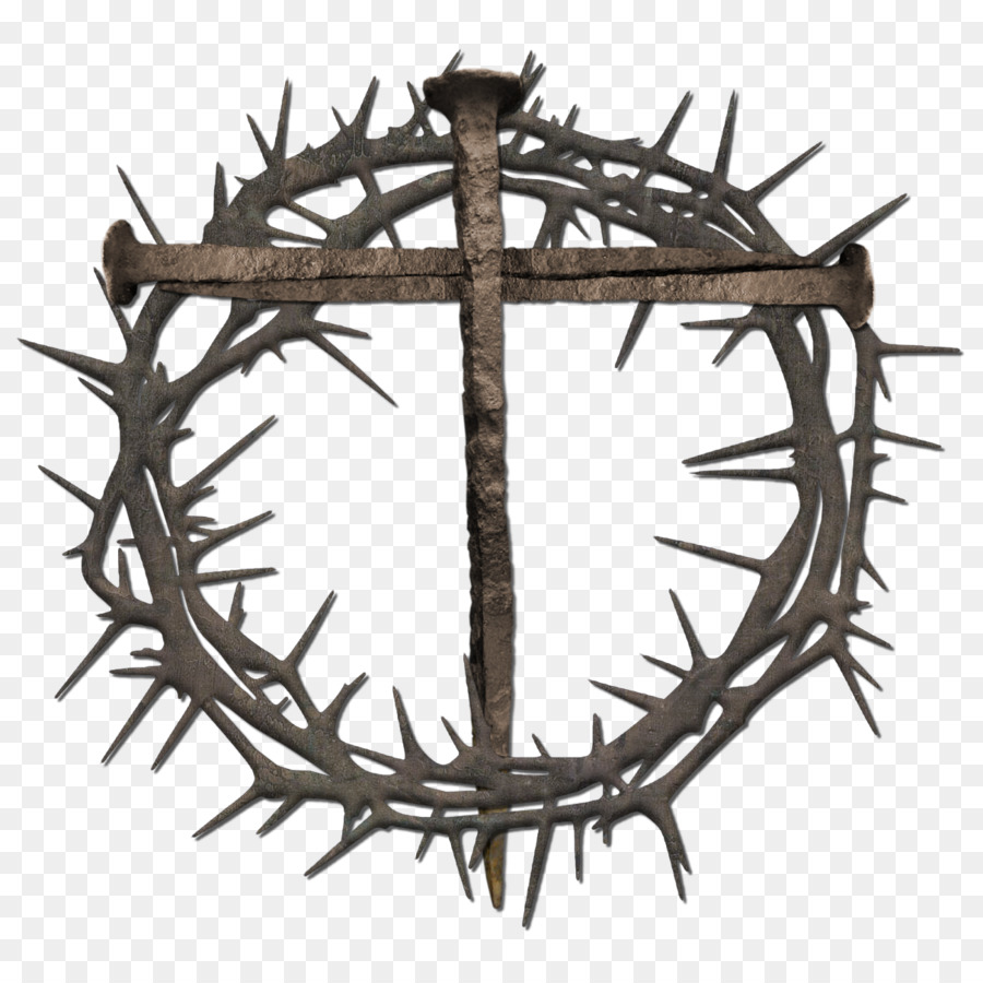 Crown of thorns Thorns, spines, and prickles Nail Cross Clip art - Thorn Crown Cliparts png download - 1207*1196 - Free Transparent Crown Of Thorns png Download.