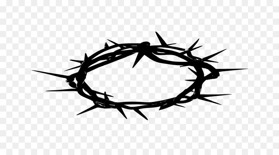 Crown of thorns Christianity Thorns, spines, and prickles Clip art - others png download - 700*490 - Free Transparent Crown Of Thorns png Download.