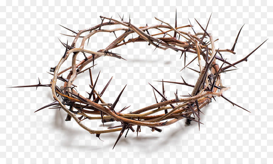 Stock photography Crown of thorns Royalty-free - others png download - 898*538 - Free Transparent Stock Photography png Download.