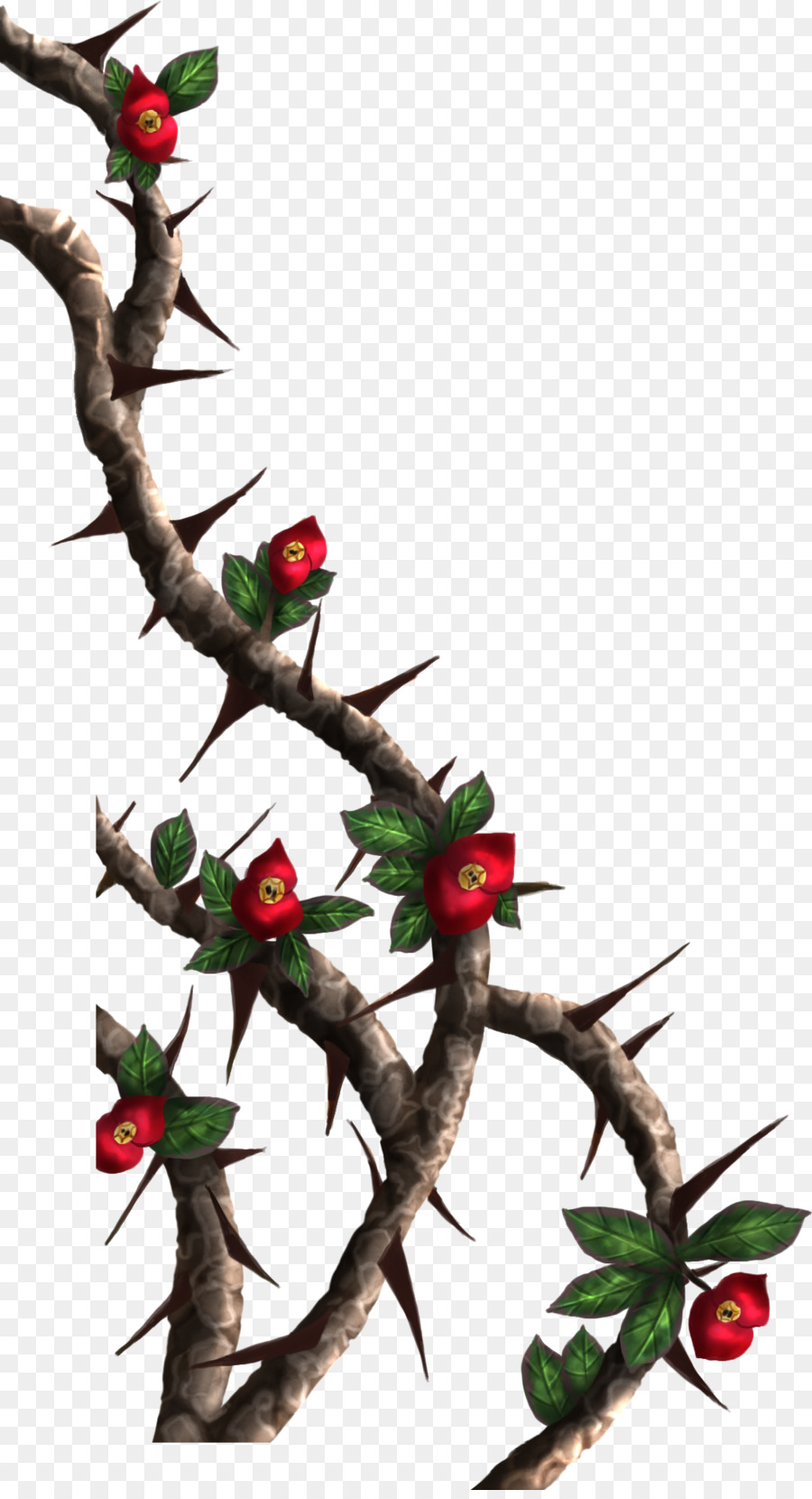 Thorns, spines, and prickles Rose Crown of thorns Drawing Clip art - thorn png download - 900*1650 - Free Transparent Thorns Spines And Prickles png Download.