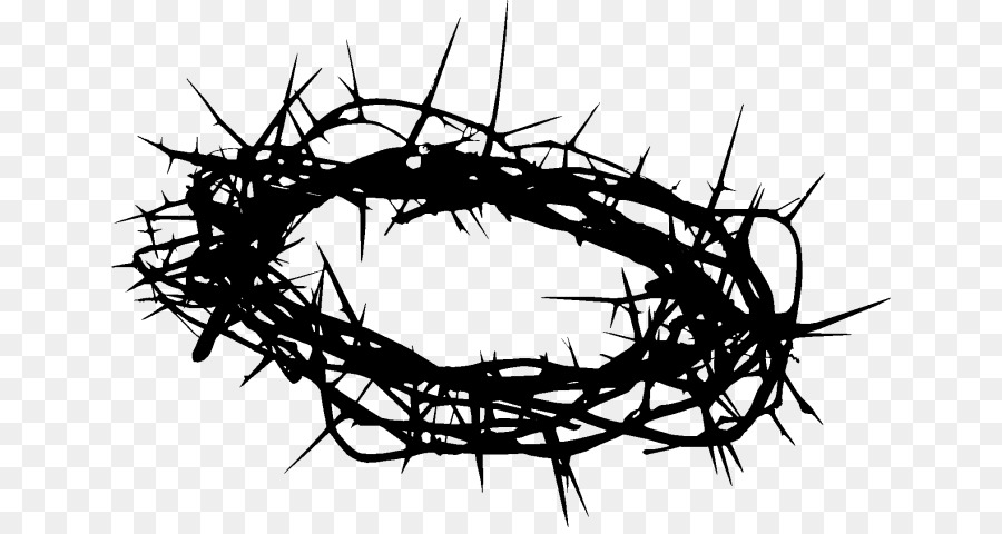Crown of thorns Clip art Image Christian cross Prince Of The Sun -  png download - 700*474 - Free Transparent Crown Of Thorns png Download.