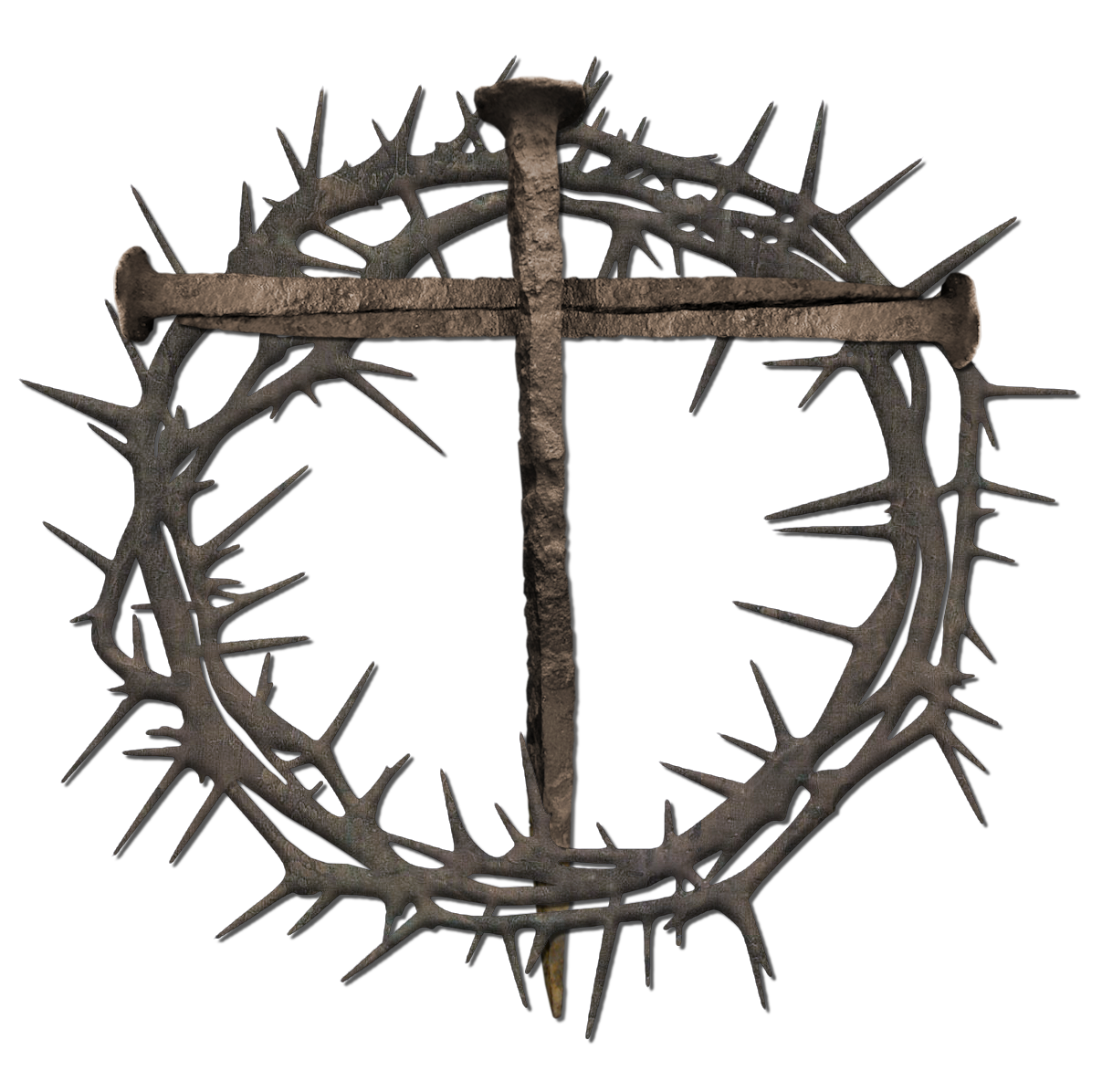 Crown Of Thorns Thorns Spines And Prickles Nail Cross Clip Art Thorn Crown Cliparts Png Download 1207 1196 Free Transparent Crown Of Thorns Png Download Clip Art Library