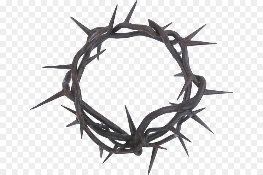 Crown of thorns Thorns, spines, and prickles Clip art - others png download - 696*600 - Free Transparent Crown Of Thorns png Download.