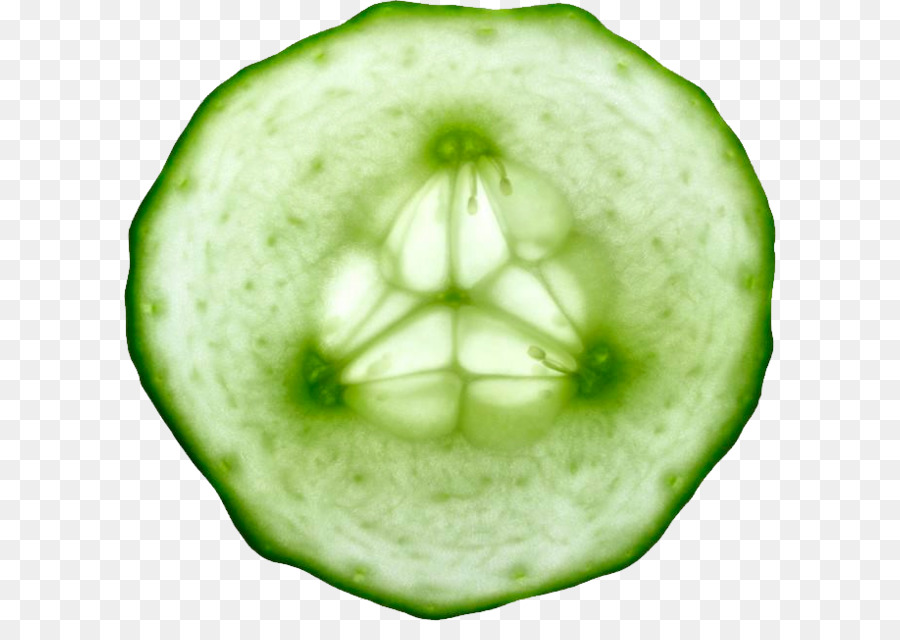 Pepino Vegetable Slicing cucumber - Cucumber slices png download - 658*621 - Free Transparent Pepino png Download.