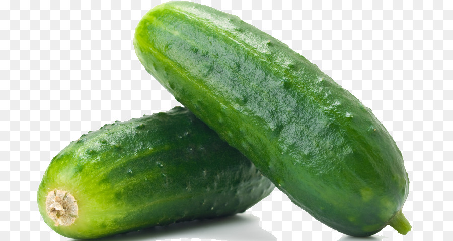 Cucumber Vegetable Food Fruit Gardening - cucumber png download - 843*480 - Free Transparent Cucumber png Download.
