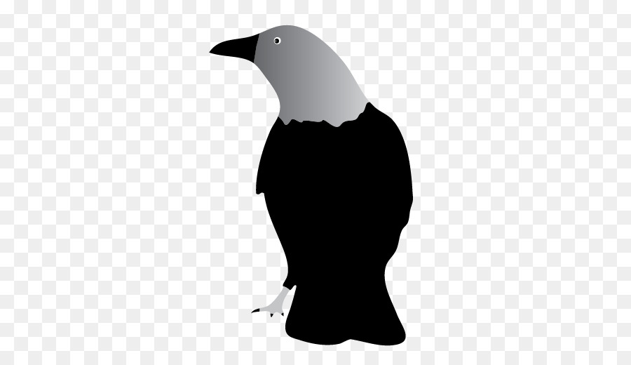 Common raven Clip art - Cute Raven Cliparts png download - 508*508 - Free Transparent Common Raven png Download.
