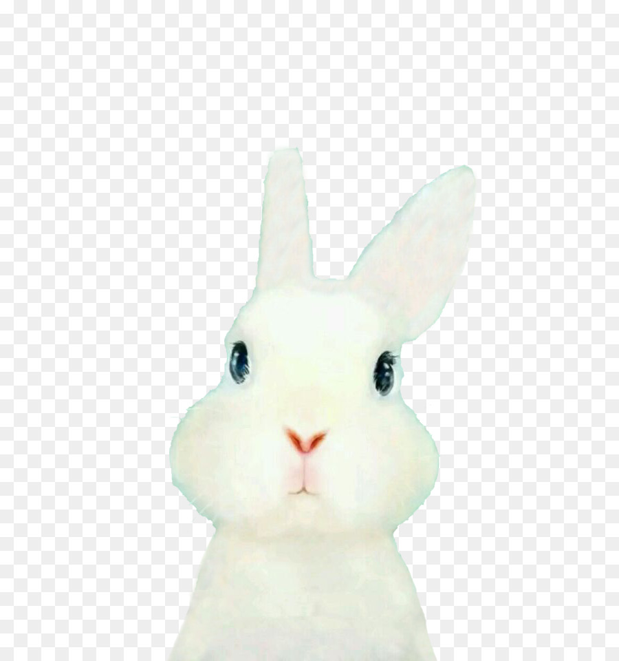 Domestic rabbit Easter Bunny Hare Embroidery - Cute bunny png download - 540*960 - Free Transparent Domestic Rabbit png Download.