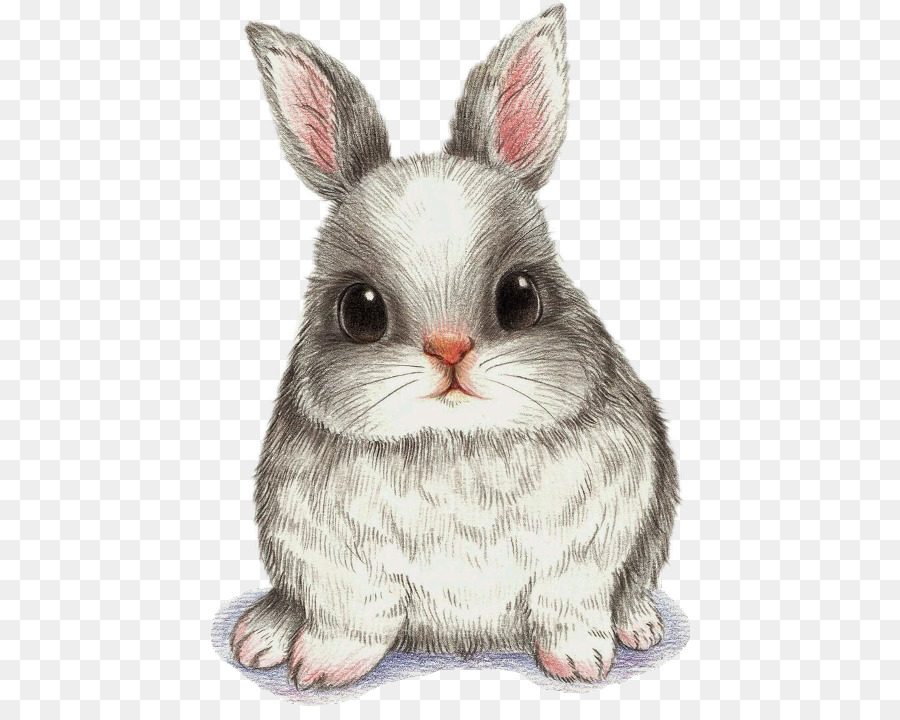 Drawing Watercolor painting Art Image - cute bunny drawing png sketch png download - 480*706 - Free Transparent Drawing png Download.