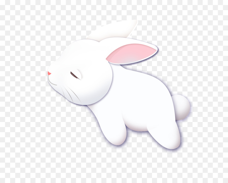 Moon rabbit - Cute bunny png download - 1000*800 - Free Transparent Rabbit png Download.
