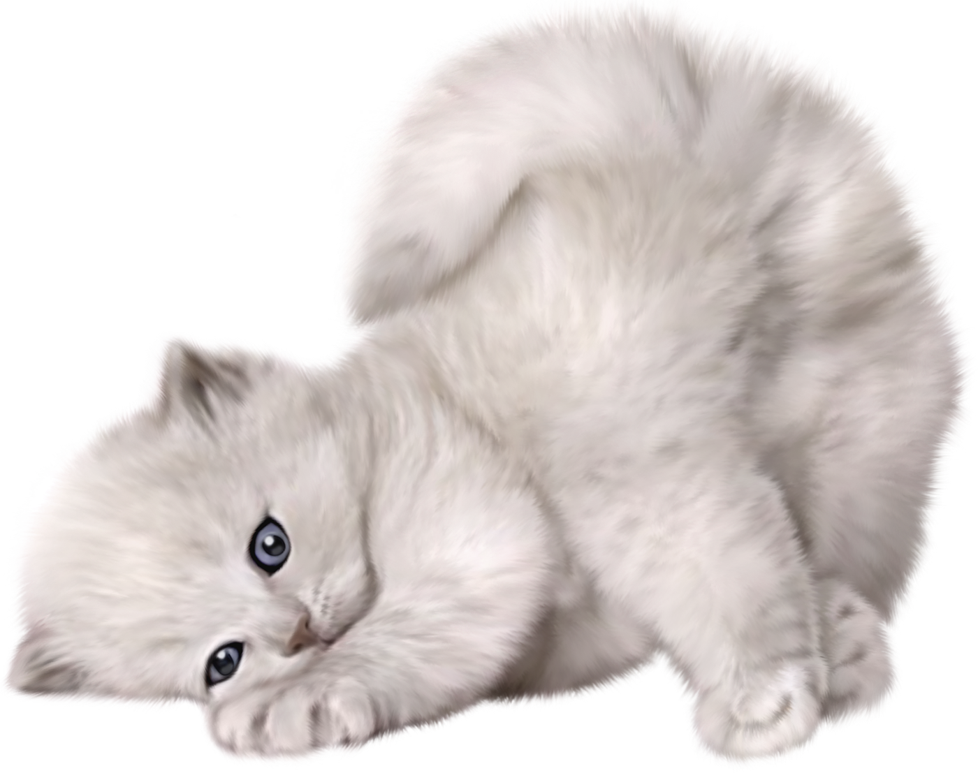 Persian cat Kitten Puppy Cuteness - Large PNG Cute Cat Picture png