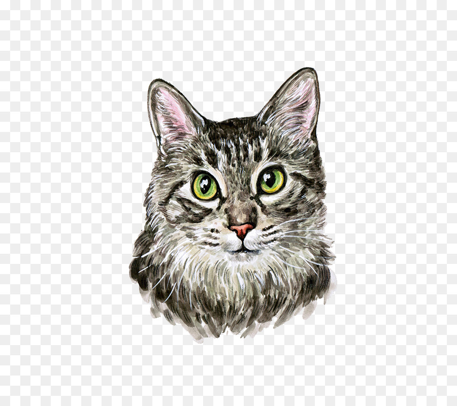 Cat Kitten Watercolor painting Cuteness - Hand painted watercolor cute cat png download - 800*800 - Free Transparent Cat png Download.