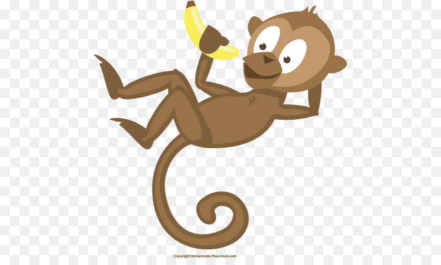 Primate Monkey Animal Tail Clip art - cute monkey png download - 516*526 - Free Transparent Primate png Download.