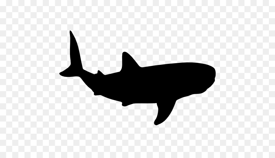 Whale shark Cetacea Clip art - shark png download - 512*512 - Free Transparent Shark png Download.