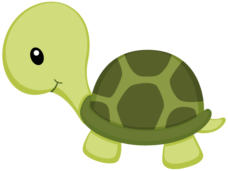 Turtle Drawing Clip art - under sea png download - 900*675 - Free