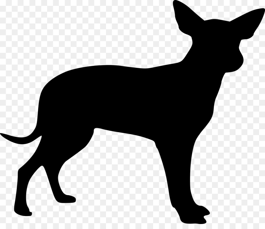 Boxer Dachshund Puppy Scottish Terrier - crow png download - 2400*2035 - Free Transparent Boxer png Download.