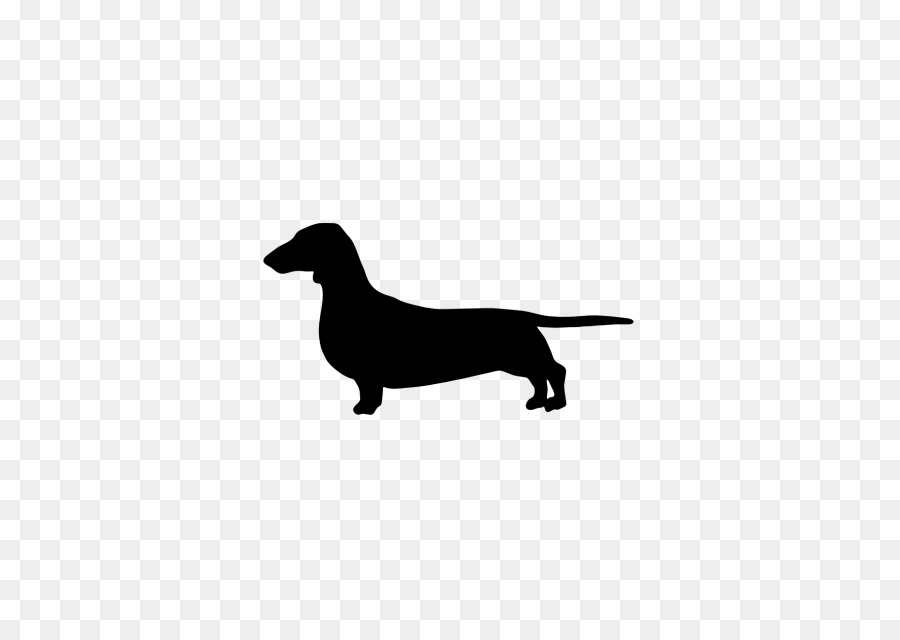 The Dachshund Labrador Retriever German Wirehaired Pointer Hot dog - hot dog png download - 640*640 - Free Transparent Dachshund png Download.