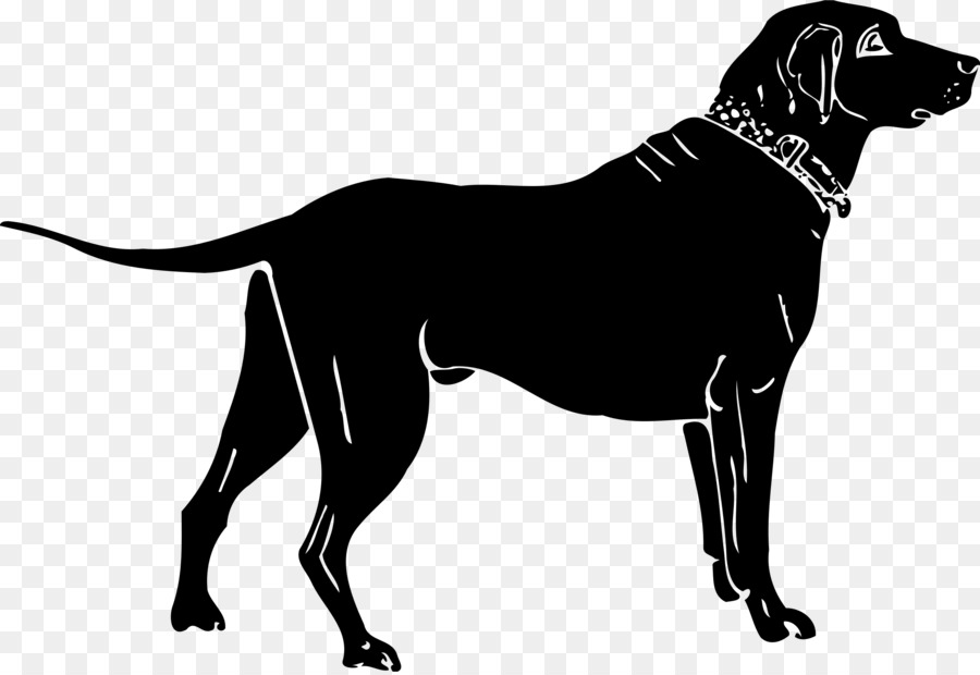 Labrador Retriever Dachshund Pembroke Welsh Corgi Pet Clip art - Silhouette png download - 2400*1646 - Free Transparent Labrador Retriever png Download.