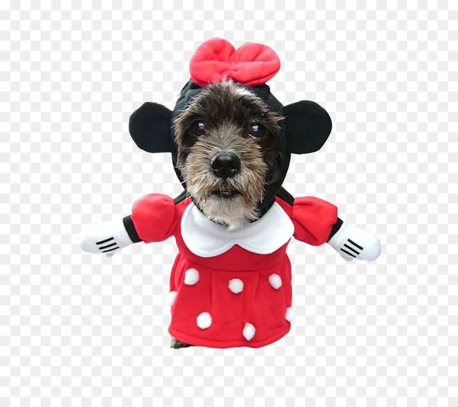 Dog breed Minnie Mouse Dachshund Puppy Mickey Mouse - minnie mouse png download - 800*800 - Free Transparent Dog Breed png Download.
