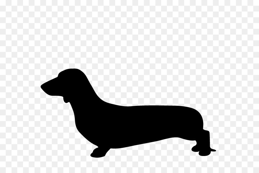 Dachshund Puppy Labrador Retriever Dog breed Hot dog - dachshund cartoon dogs png download - 800*600 - Free Transparent Dachshund png Download.