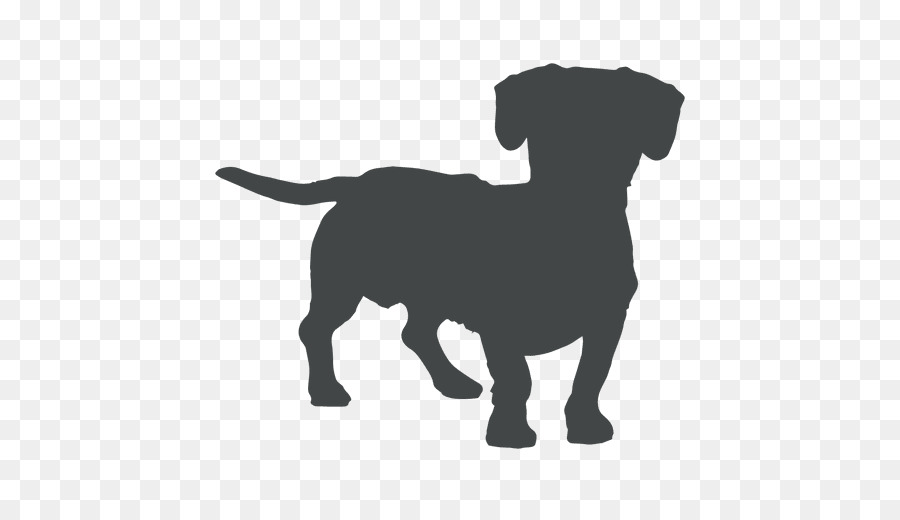 Pug Dachshund Clip art Portable Network Graphics Image - cao cao png download - 512*512 - Free Transparent Pug png Download.