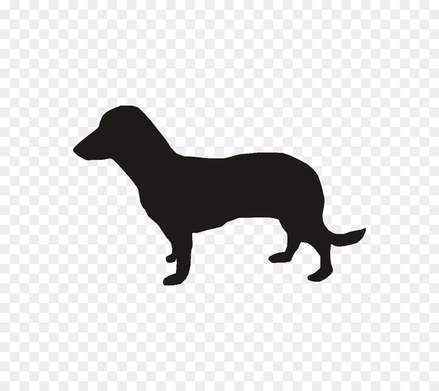 Miniature Dachshund Puppy Vector graphics Dog breed - puppy png download - 800*800 - Free Transparent Dachshund png Download.