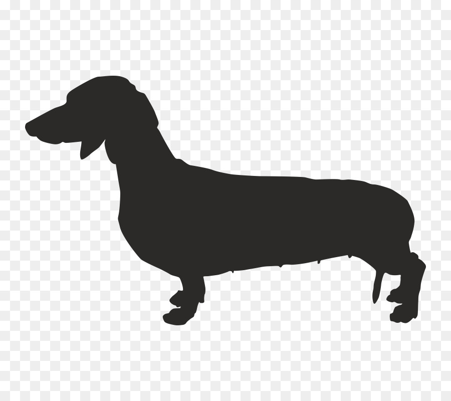 Dachshund French Bulldog Chihuahua Puppy - puppy png download - 800*800 - Free Transparent Dachshund png Download.