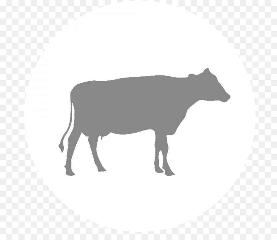 Dairy cattle Calf Vector graphics Clip art - silhouette png download - 768*768 - Free Transparent Cattle png Download.