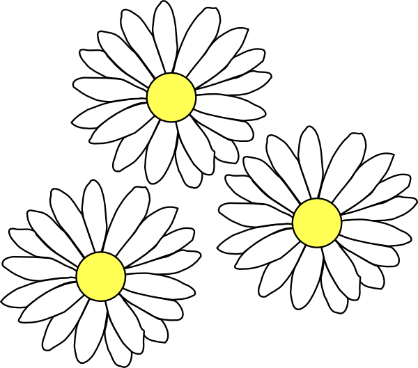 Common daisy Clip art - daisies png download - 600*529 - Free