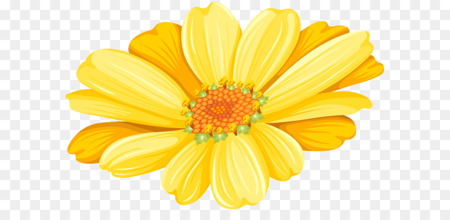 Transvaal daisy Chrysanthemum Argyranthemum frutescens Floristry Common sunflower - Yellow Daisy Transparent Clip Art Image png download - 8000*5199 - Free Transparent Yellow png Download.