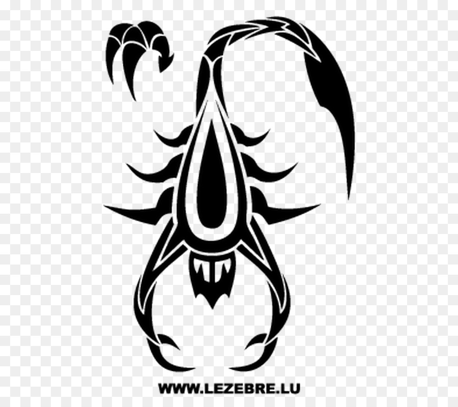 Scorpion Tattoo Tribe Decal Sticker - Scorpion png download - 800*800 - Free Transparent Scorpion png Download.