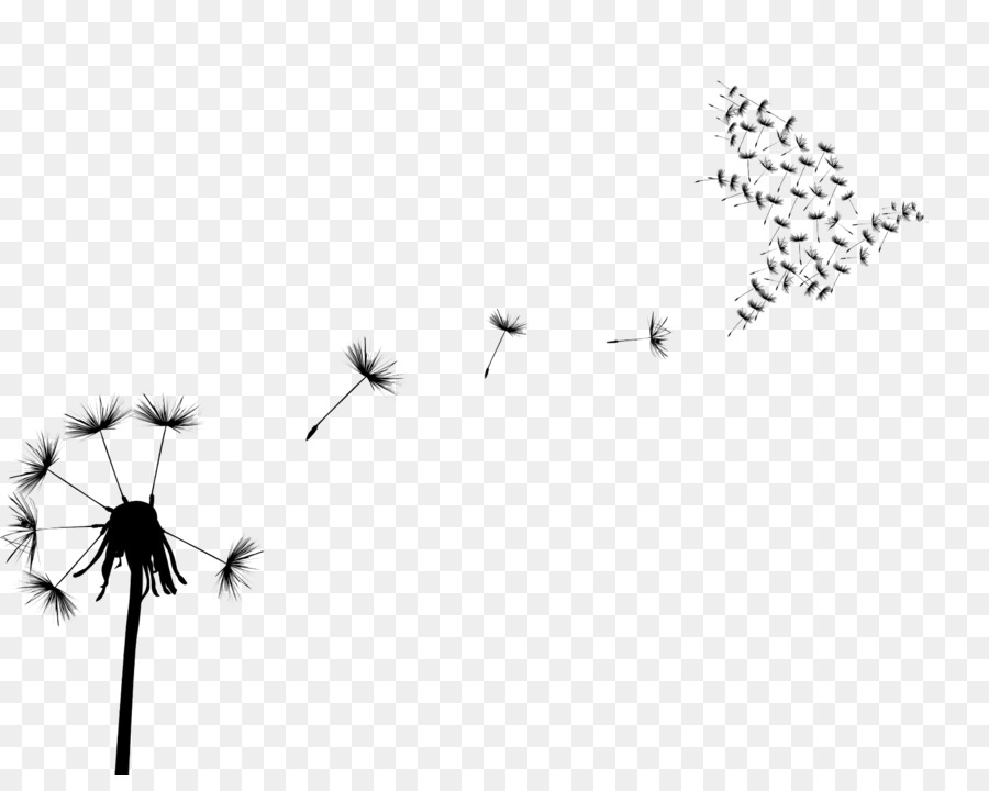 Bird Common Dandelion Flock Clip art - flock of birds png download - 1600*1253 - Free Transparent Bird png Download.