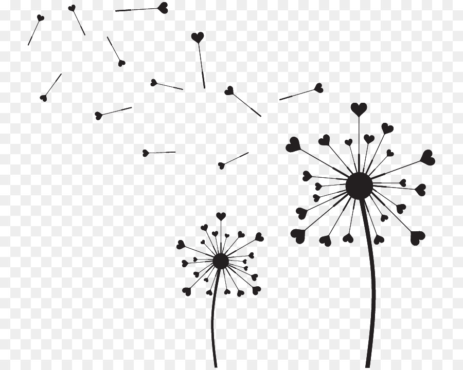 Common Dandelion Image Silhouette Drawing Petal - silhouette png download - 800*720 - Free Transparent Common Dandelion png Download.