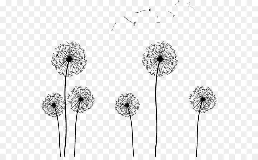 Seed Clip art - Dandelion silhouette vector png download - 612*550 - Free Transparent Common Dandelion png Download.