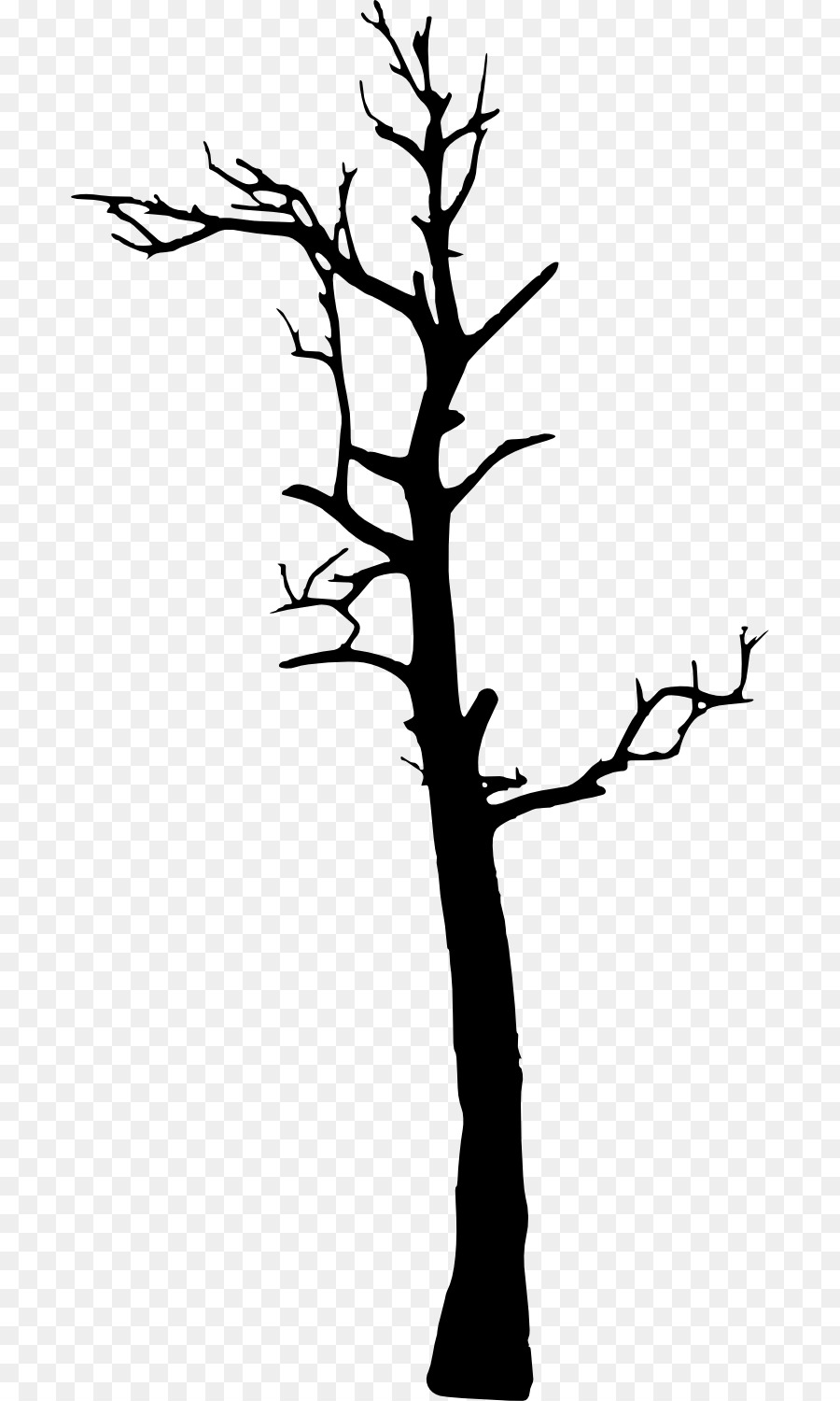 Tree Woody plant Clip art - dead tree png download - 748*1500 - Free Transparent Tree png Download.