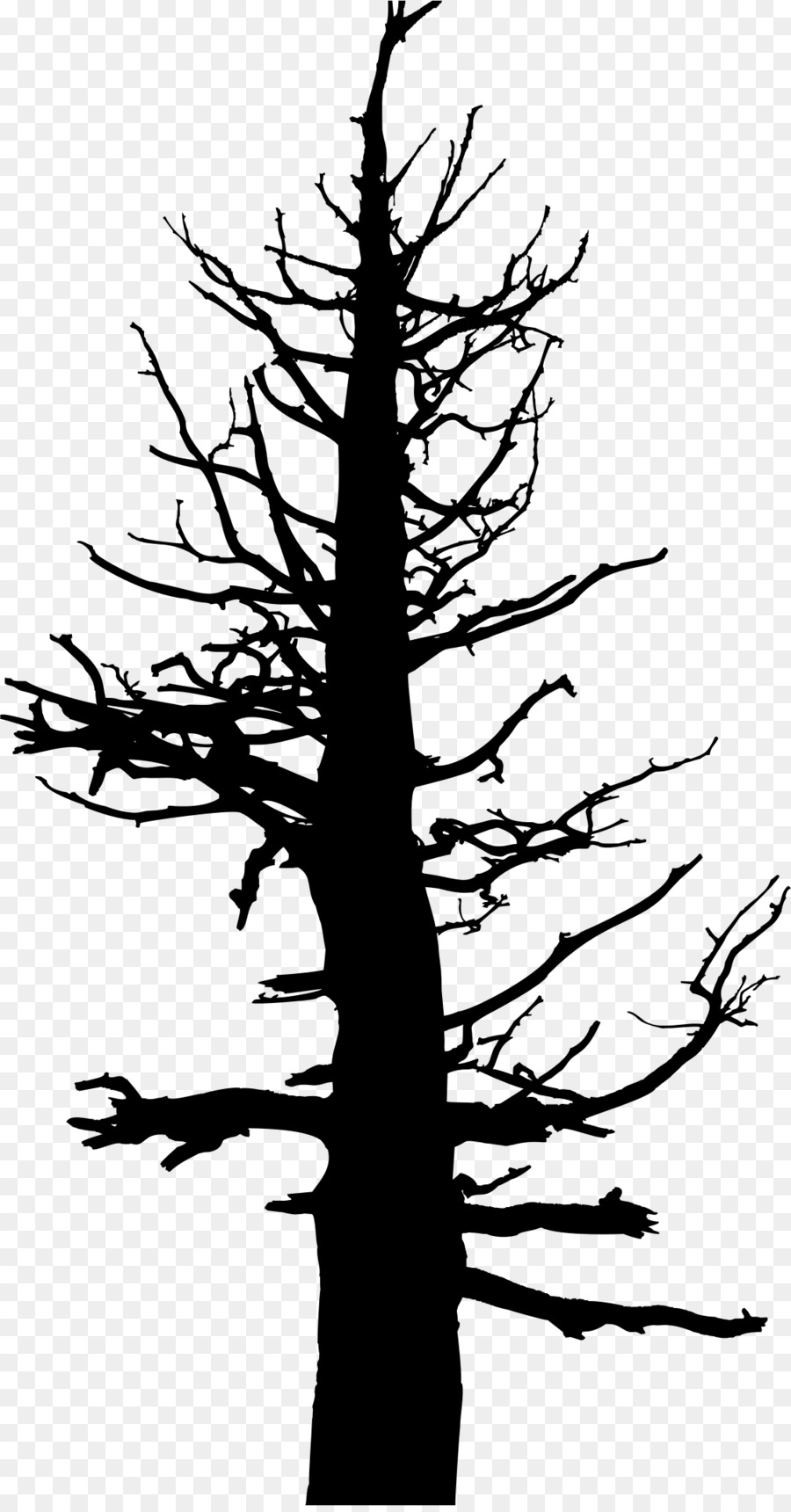 Tree Drawing Silhouette Snag Clip art - tree trunk png download - 1120*2132 - Free Transparent Tree png Download.
