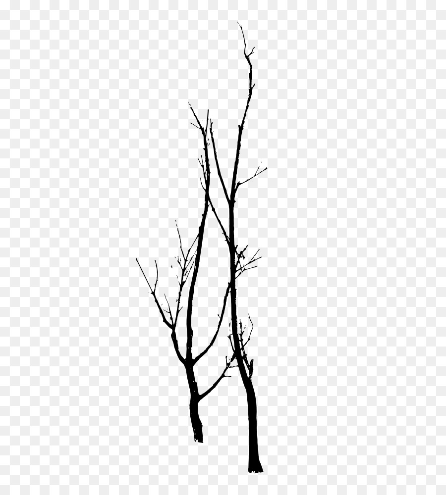 Twig Gum trees Silhouette Branch - tree png download - 757*1000 - Free Transparent Twig png Download.