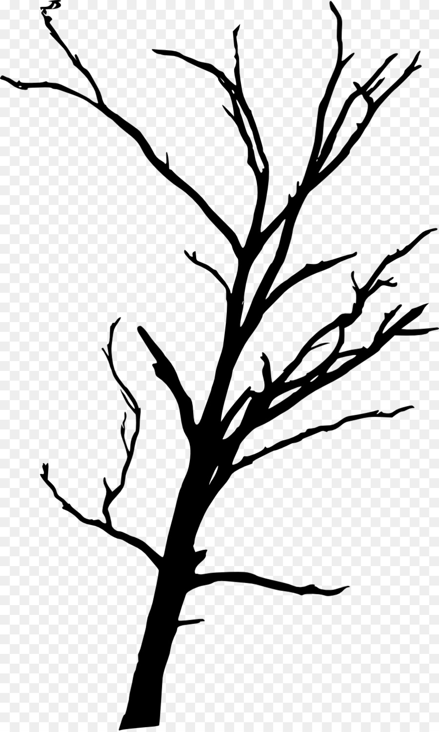 Tree Branch Woody plant Clip art - dead tree png download - 902*1500 - Free Transparent Tree png Download.