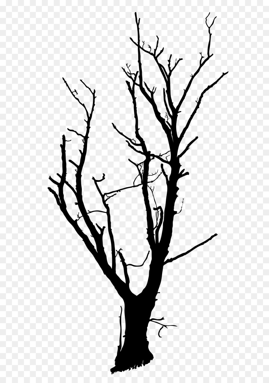 Tree Drawing Branch Clip art - dead tree png download - 1697*2400 - Free Transparent Tree png Download.