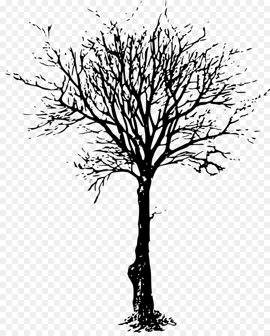 Tree Branch Drawing Clip art - dead tree png download - 1947*2400 - Free Transparent Tree png Download.