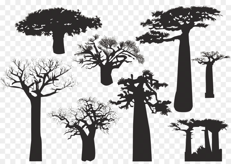 Baobab Tree Silhouette - Desert dead tree species png download - 5833*4083 - Free Transparent Baobab png Download.