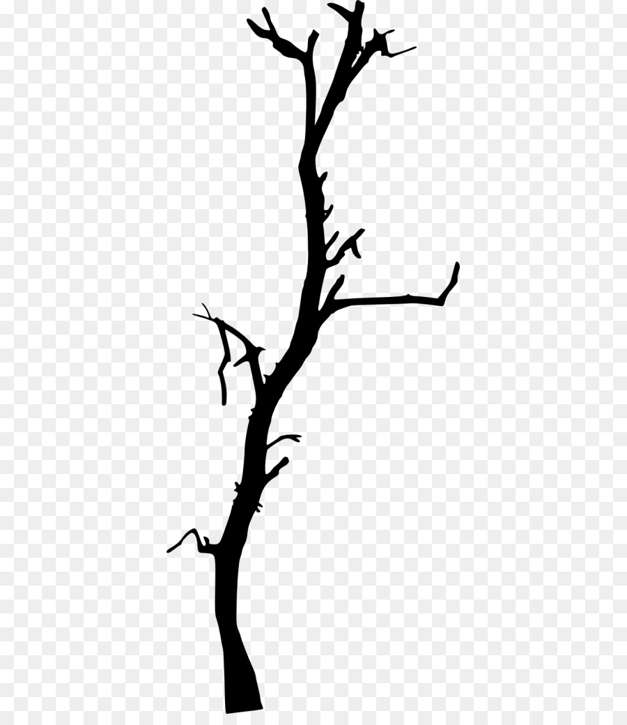 Twig Tree Clip art - dead tree material png download - 421*1024 - Free Transparent Twig png Download.