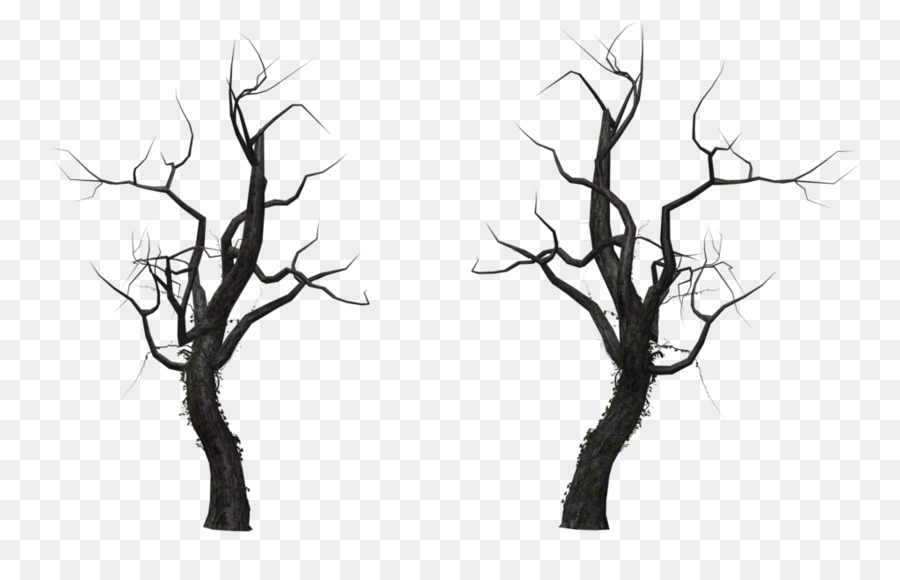 Tree Branch Snag - dead tree png download - 1024*645 - Free Transparent Tree png Download.