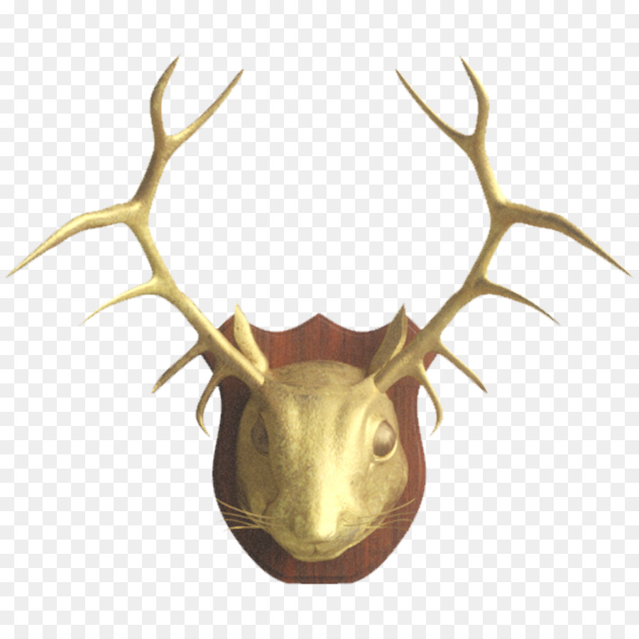 Outlook.com Email Deer Itsourtree.com Antler - realistic different nuts png download - 1500*1500 - Free Transparent Outlookcom png Download.