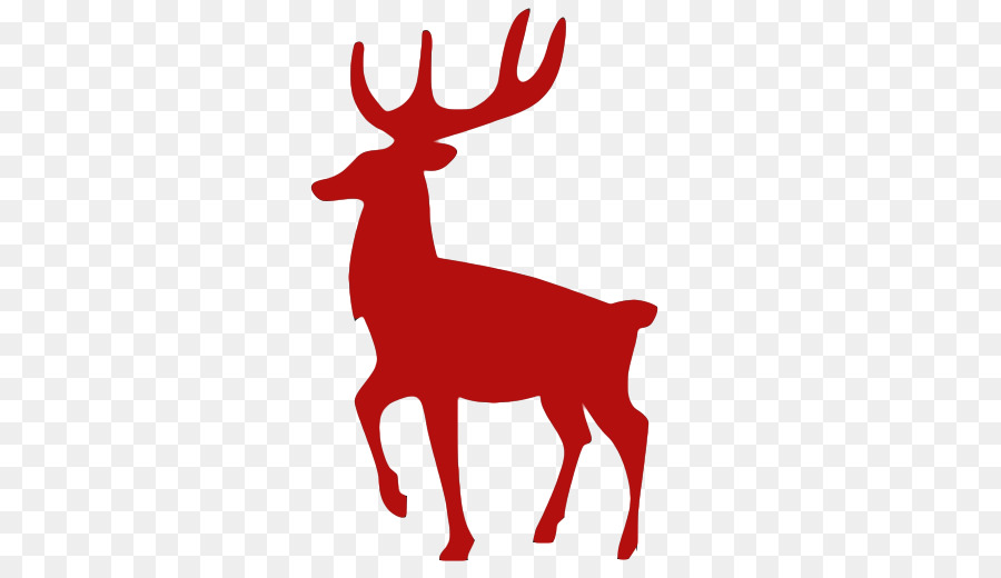 Reindeer Red deer Antler Clip art - red deer png download - 512*512 - Free Transparent Reindeer png Download.