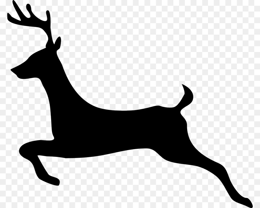 White-tailed deer Reindeer Clip art - deer png download - 850*720 - Free Transparent Deer png Download.