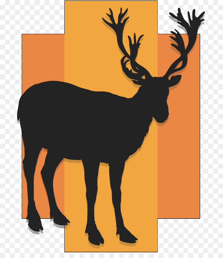 Reindeer Elk Clip art Illustration Antler -  png download - 774*1021 - Free Transparent Reindeer png Download.
