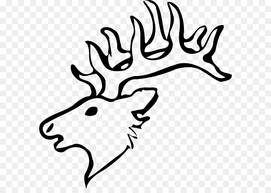 White-tailed deer Drawing Reindeer Clip art - deer skull png download - 640*627 - Free Transparent Deer png Download.