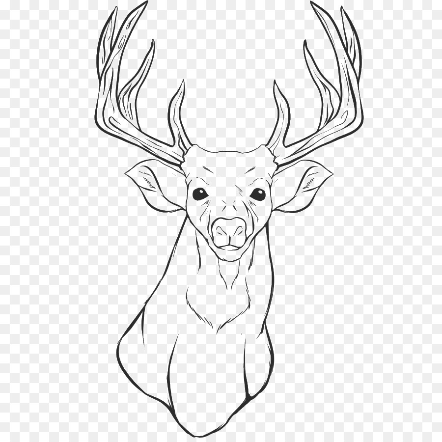 White-tailed deer Reindeer Coloring book Elk - deer png download - 700*892 - Free Transparent Whitetailed Deer png Download.